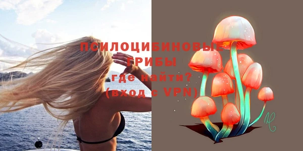 бошки Алексин