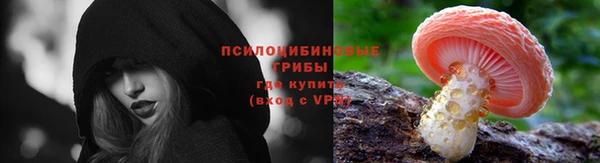 дживик Абинск
