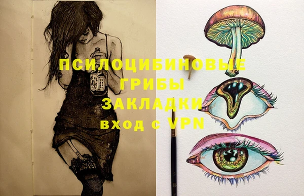 дживик Абинск