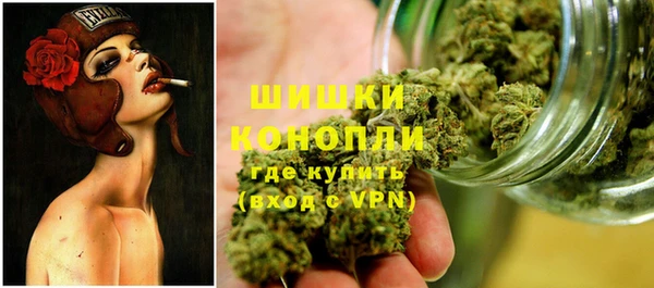 бошки Алексин