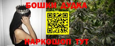 гидра Новокубанск