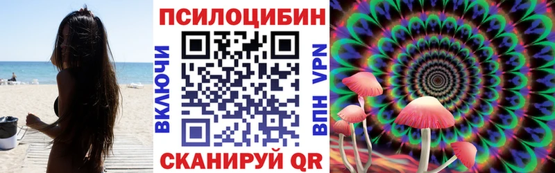 Псилоцибиновые грибы Cubensis  Боровичи 