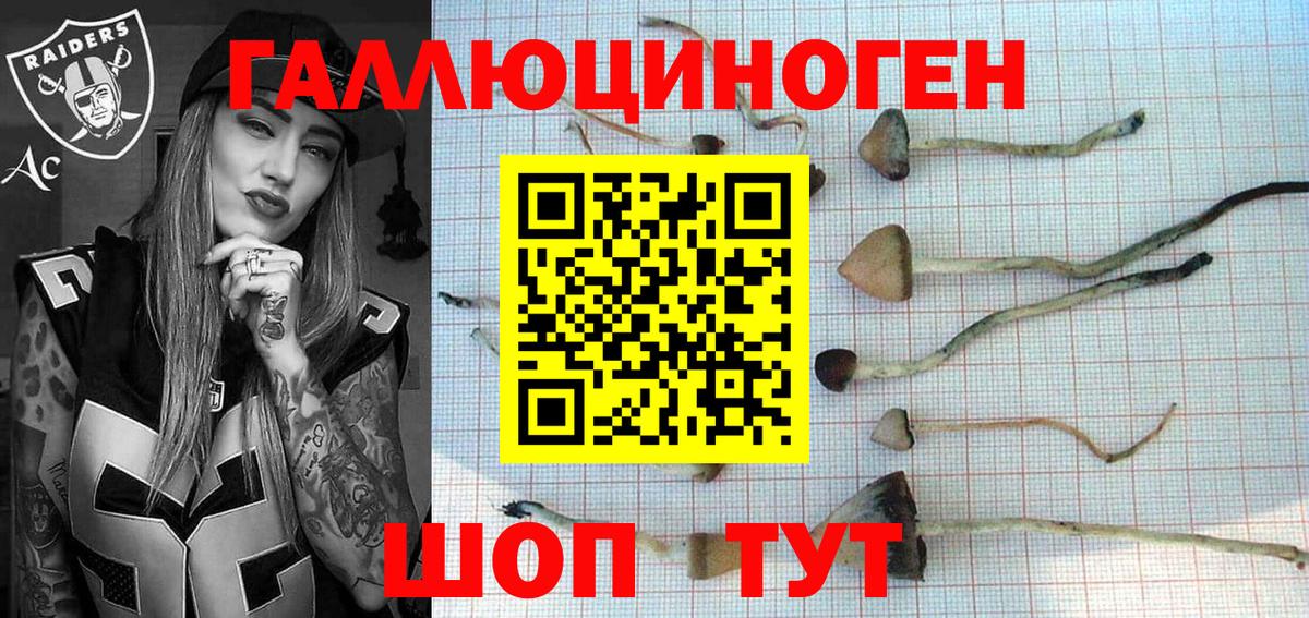 Псилоцибиновые грибы ЛСД Боровичи