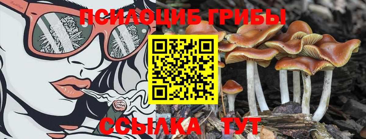 Боровичи  Псилоцибиновые грибы мухоморы  купить закладку  Вход с VPN 